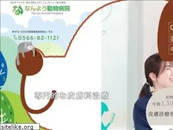 Sites similar to nanyou-ah.jp