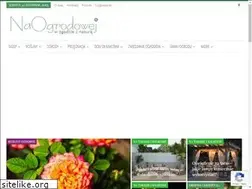 Sites similar to naogrodowej.pl