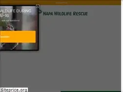 Sites similar to napawildliferescue.org