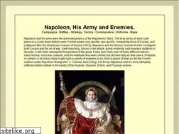 Sites similar to napoleonistyka.atspace.com