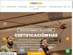 Sites similar to naranjoconsulting.com