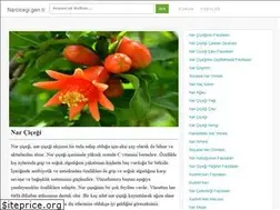 Sites similar to narcicegi.gen.tr