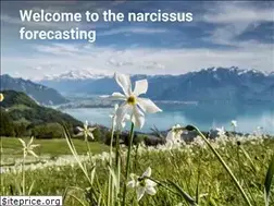 Sites similar to narcisses.com