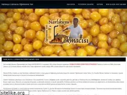 Sites similar to narlikuyulokmacisi.com