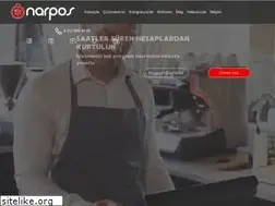 Sites similar to narpos.com.tr