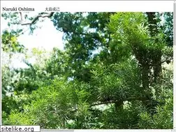 Sites similar to naruki-oshima.org