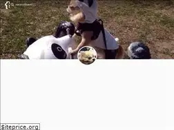Sites similar to narutoshisato.com
