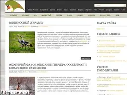 Sites similar to nashiptichki.ru