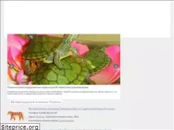 Sites similar to nashvet.ru