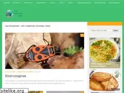 Sites similar to nashzelenyimir.ru