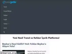 Sites similar to nasilgidilir.net
