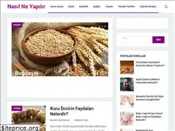 Sites similar to nasilneyapilir.com