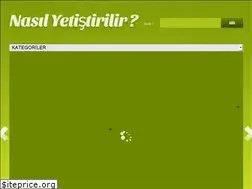 Sites similar to nasilyetistirilir.org