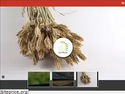 Sites similar to nasimgandomzar.ir
