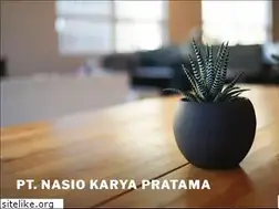 Sites similar to nasio-indonesia.com
