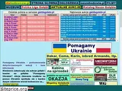 Sites similar to naszegolebie.pl
