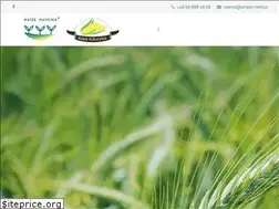 Sites similar to naszenasiona.pl