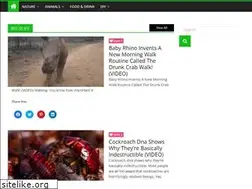 Sites similar to natanimalslife.com