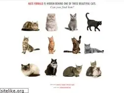 Sites similar to natefernald.com