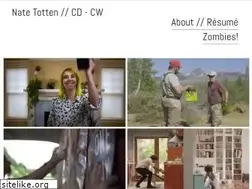 Sites similar to natetotten.com