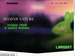 Sites similar to nathanielrich.com