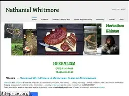 Sites similar to nathanielwhitmore.com