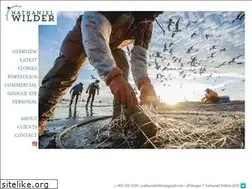 Sites similar to nathanielwilder.com