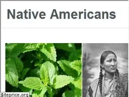 Sites similar to nativeamericans24.us