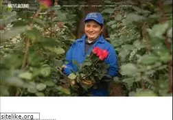 Sites similar to nativeblooms.com