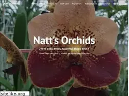 Sites similar to nattsorchids.com