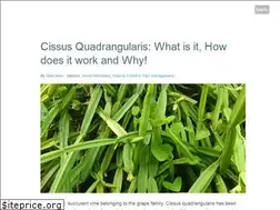 Sites similar to naturalalternativeremedy.com