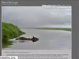 Sites similar to naturalart.ca