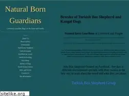 Sites similar to naturalbornguardians.com