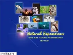 Sites similar to naturalexpressions.com