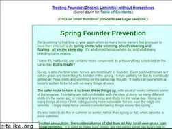 Sites similar to naturalhorsetrim.com