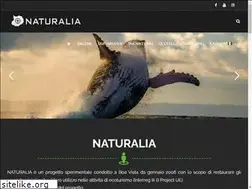 Sites similar to naturaliaecotours.com