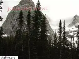 Sites similar to naturalist.org