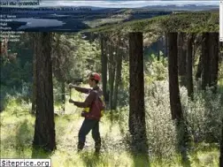 Sites similar to naturallywood.com