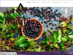 Sites similar to naturalmaqui.cl