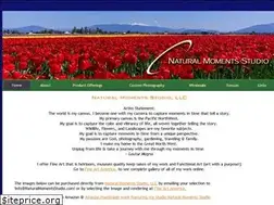 Sites similar to naturalmomentsstudio.com
