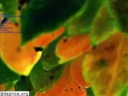 Sites similar to naturalpansiyon.com.tr