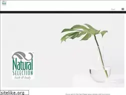 Sites similar to naturalselectionbathandbody.com