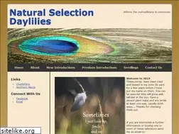 Sites similar to naturalselectiondaylilies.com