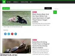 Sites similar to natureaddictedlife.com