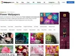 Sites similar to natureflowerwallpapers.com