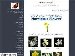 Sites similar to natureimage.blogfa.com