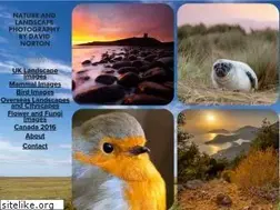 Sites similar to natureimagesuk.com