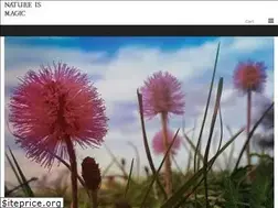 Sites similar to natureismagic.com