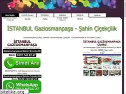 Sites similar to naturelcicek.com