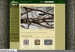 Sites similar to naturephoto-cz.com